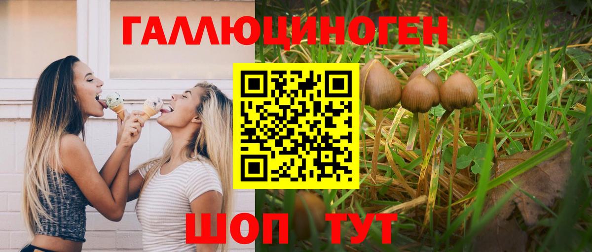 Камень-на-Оби  Галлюциногенные грибы Cubensis  цена   Вход с VPN 