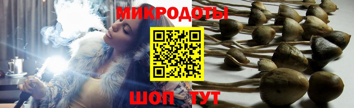 Псилоцибиновые грибы мицелий Камень-на-Оби